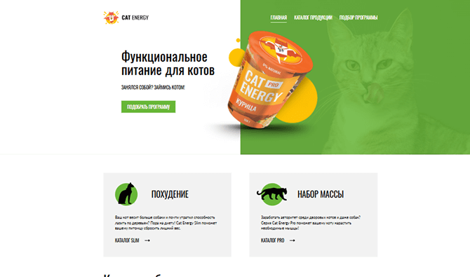 Скриншот сайта.